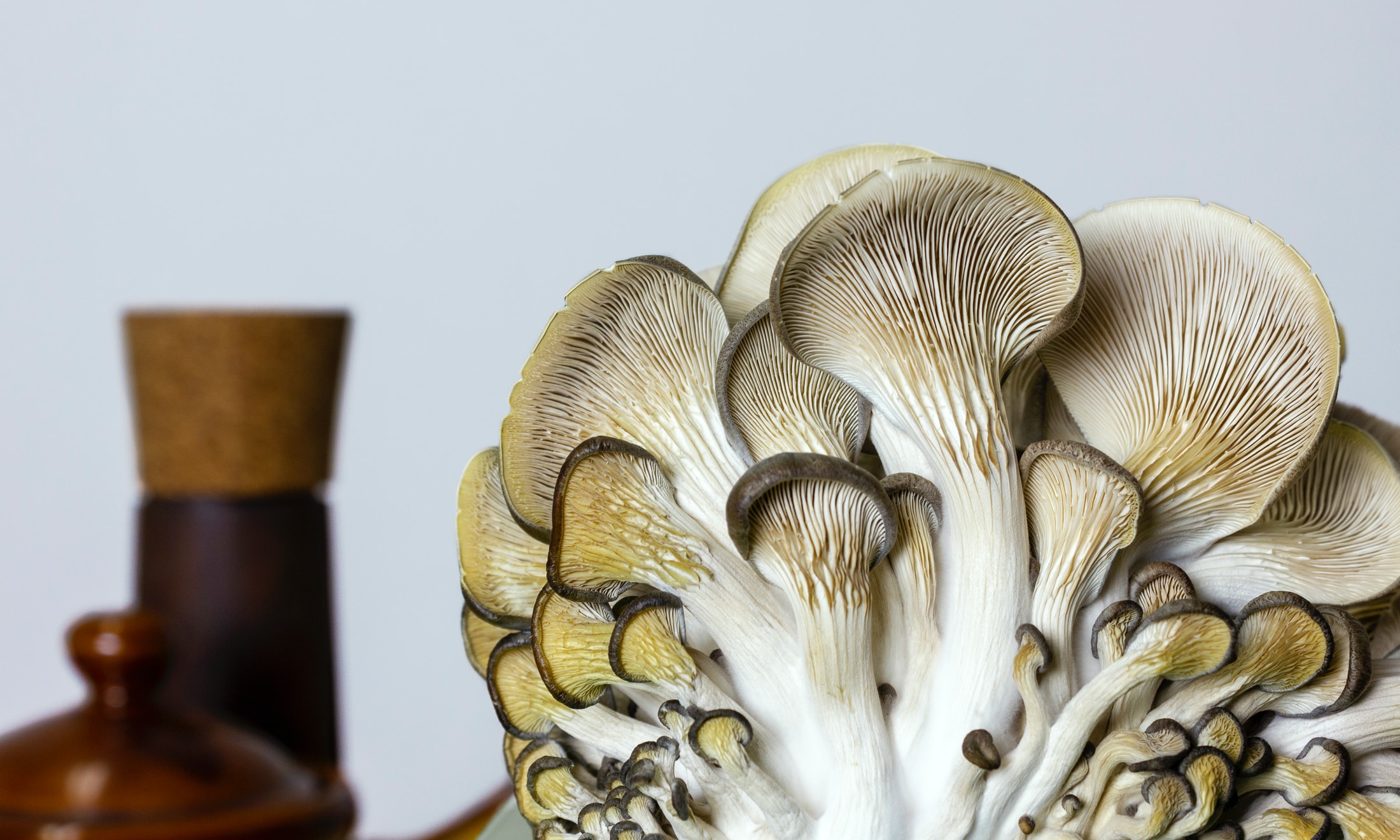 white and brown mushroom figurine