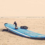 Halowy surfing – surfowanie pod dachem