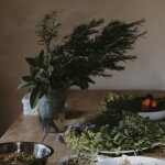 13 aromatów, czyli – domowe zioła oczyszczające powietrze